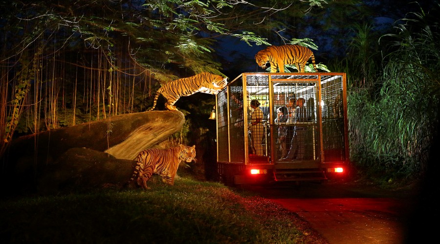 Attractions